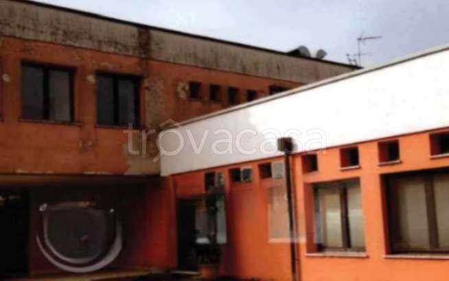 immagine annuncio 2 di 8