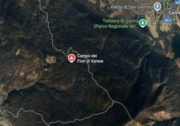 immagine annuncio 1 di 10