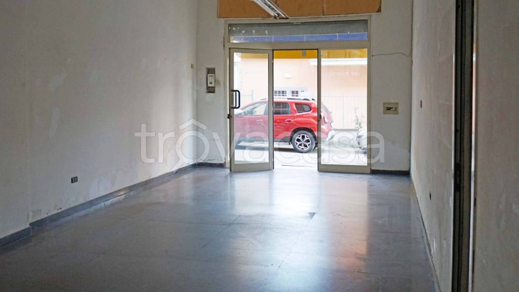 immagine annuncio 2 di 6