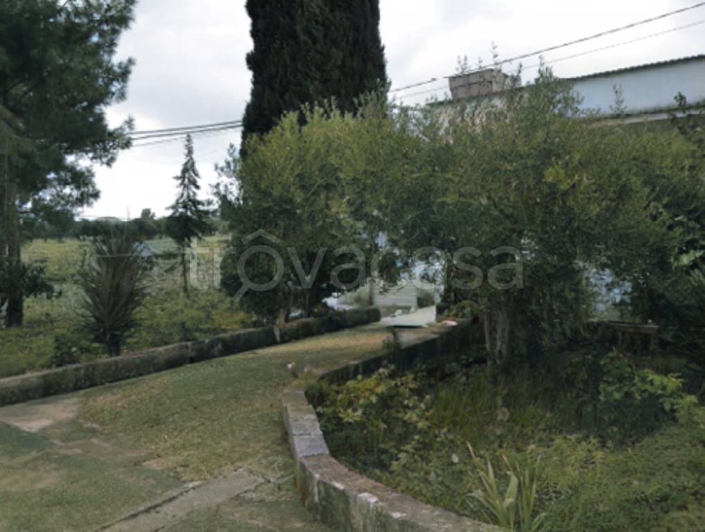 immagine annuncio 4 di 14