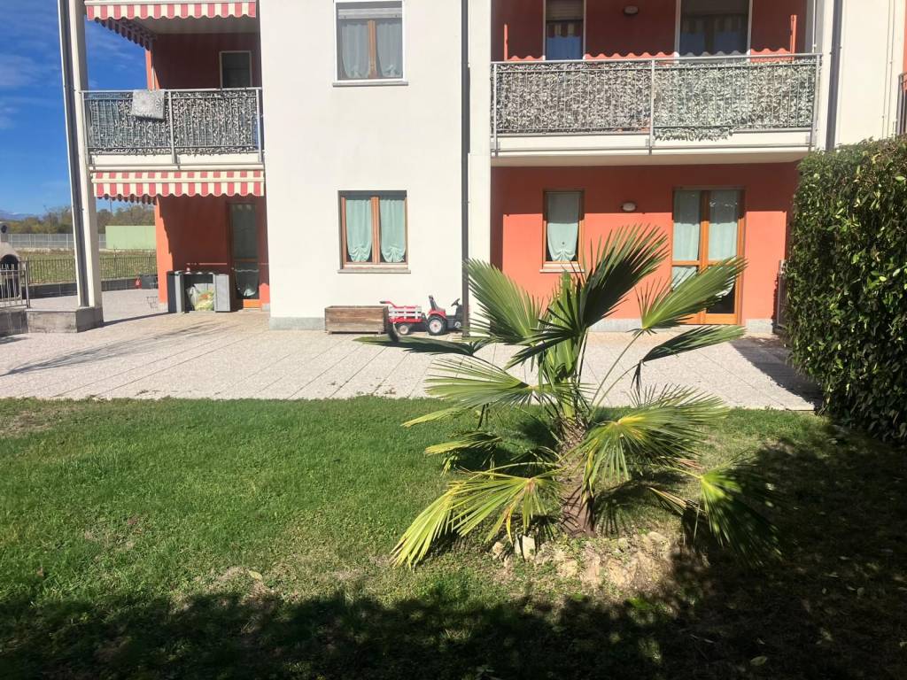 immagine annuncio 2 di 15