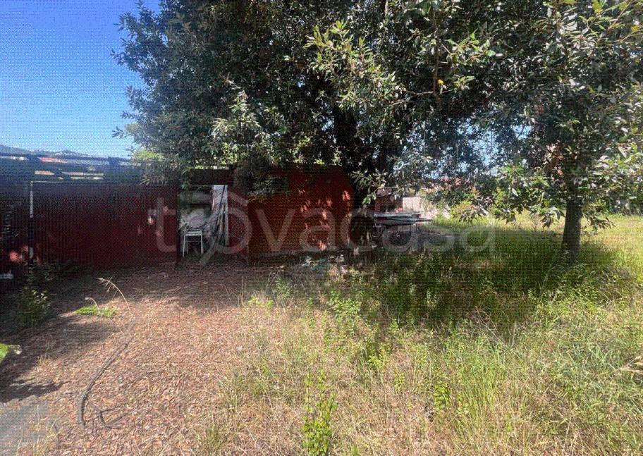 immagine annuncio 6 di 11