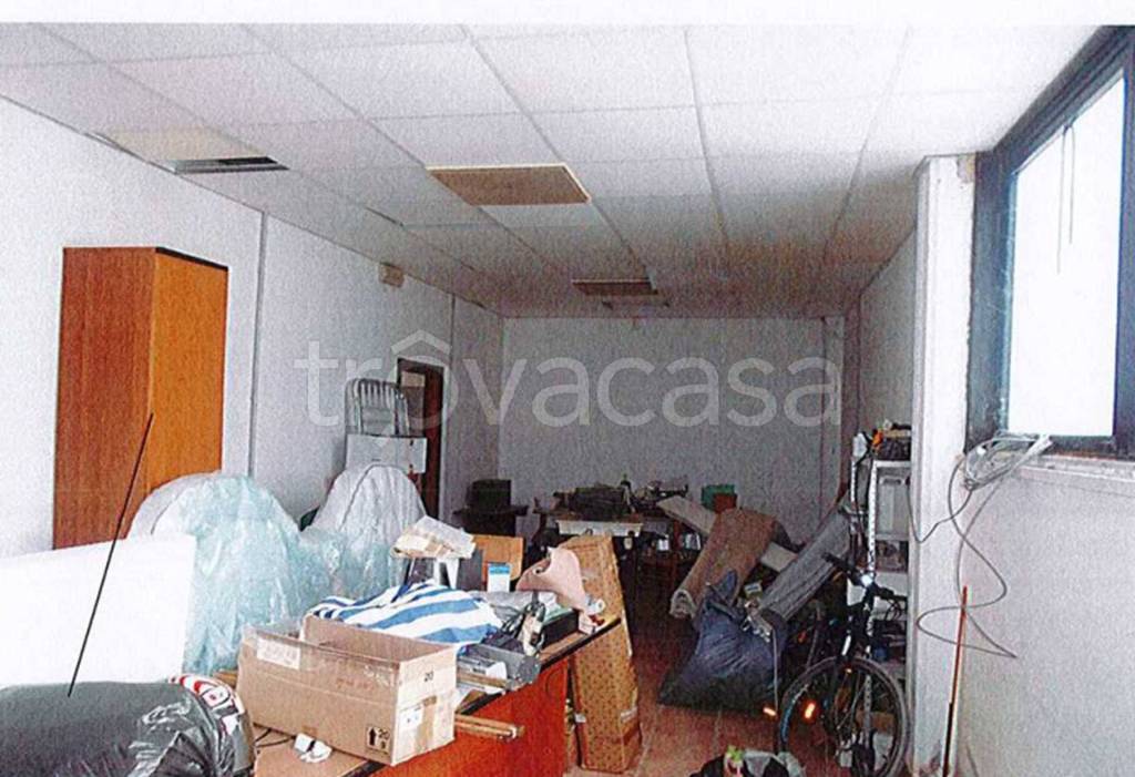 immagine annuncio 5 di 13