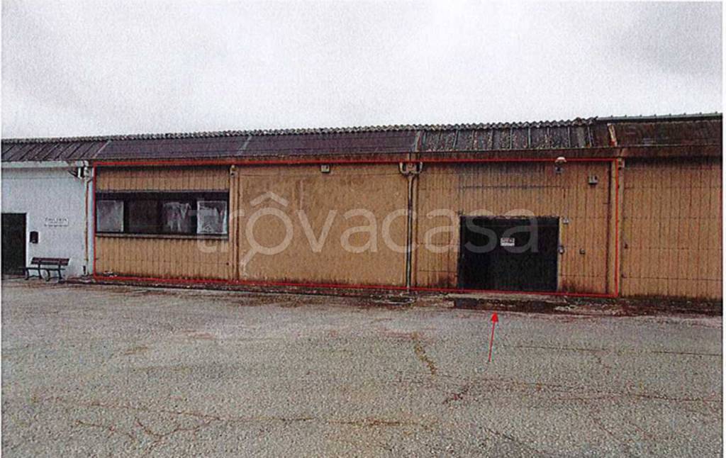 immagine annuncio 8 di 13