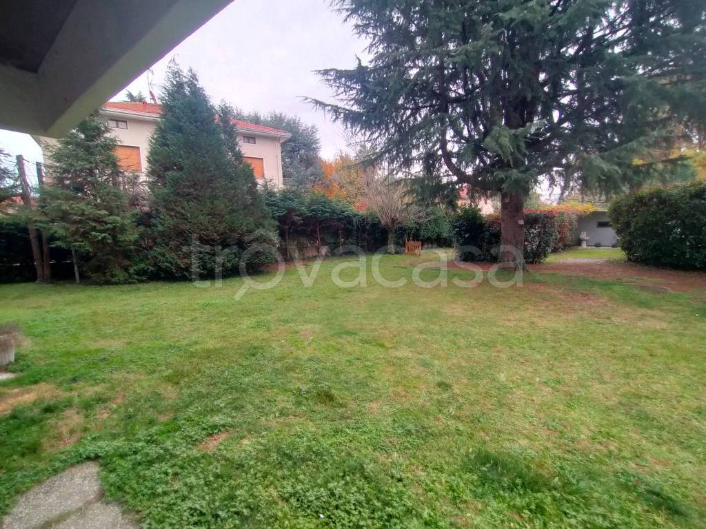 immagine annuncio 2 di 6