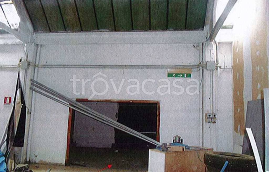 immagine annuncio 12 di 13