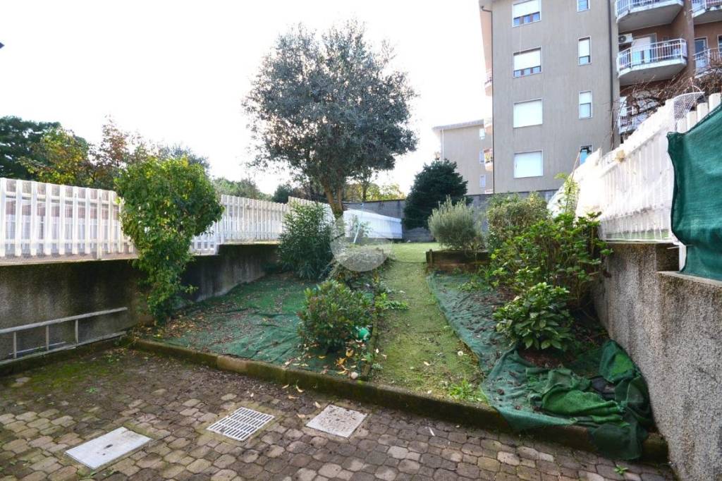 immagine annuncio 1 di 6