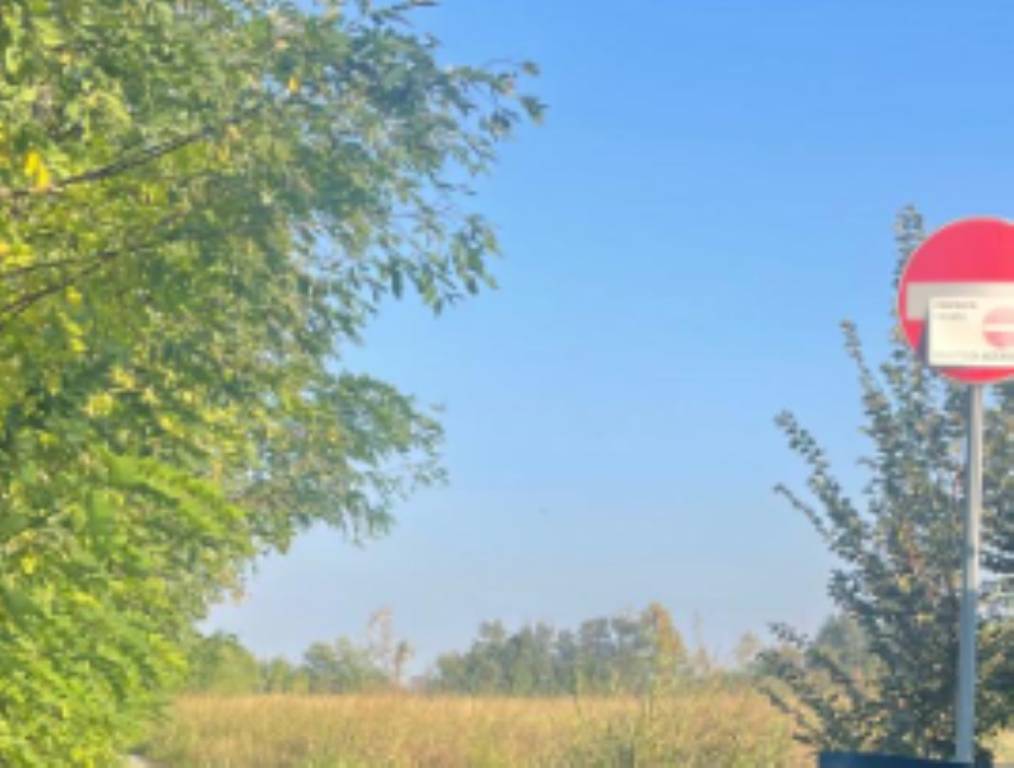 immagine annuncio 4 di 11