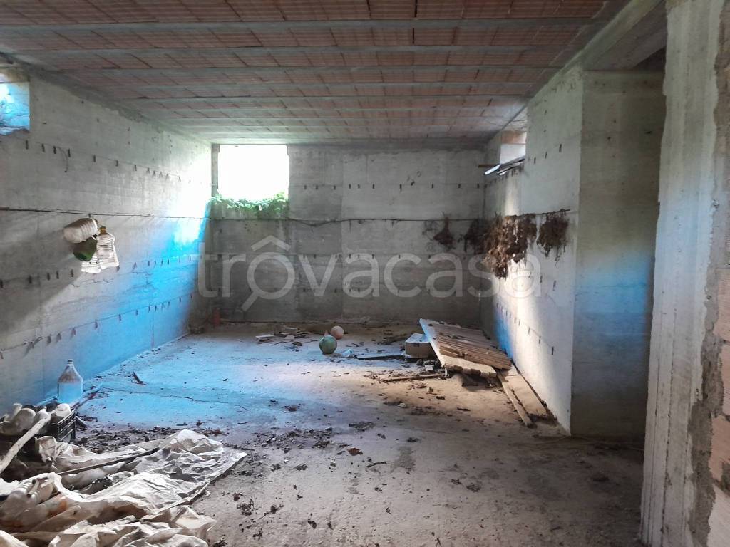 immagine annuncio 10 di 13