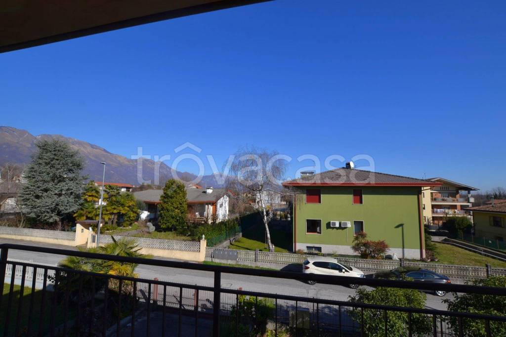 immagine annuncio 3 di 12