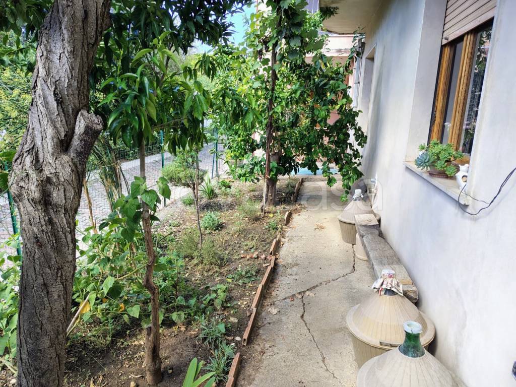 immagine annuncio 3 di 8