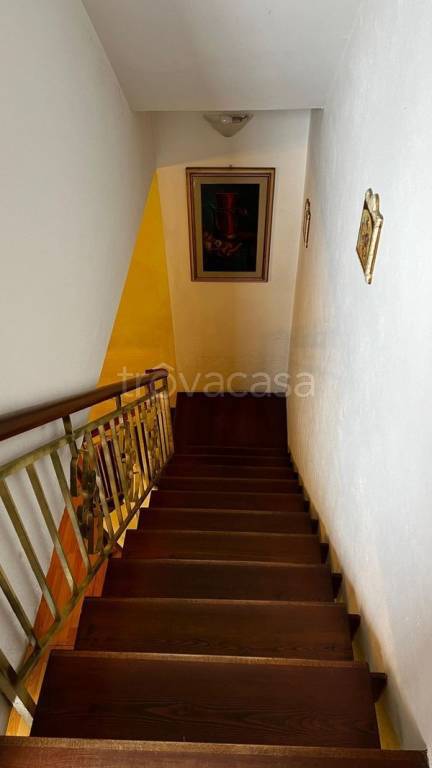 immagine annuncio 7 di 12