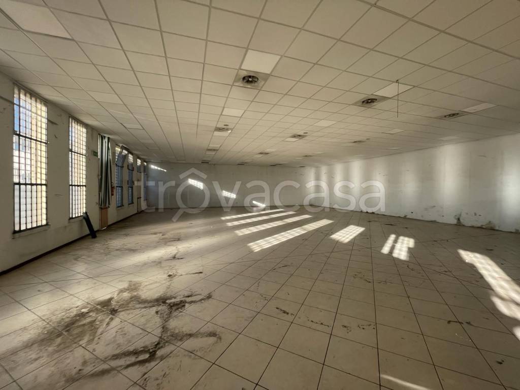 immagine annuncio 2 di 7