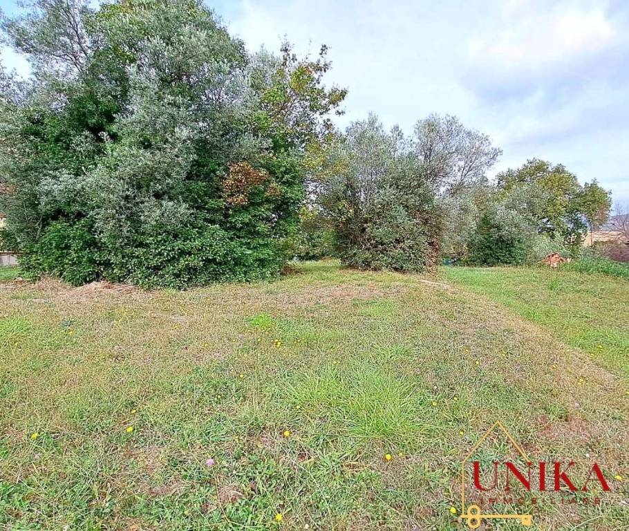 immagine annuncio 4 di 9