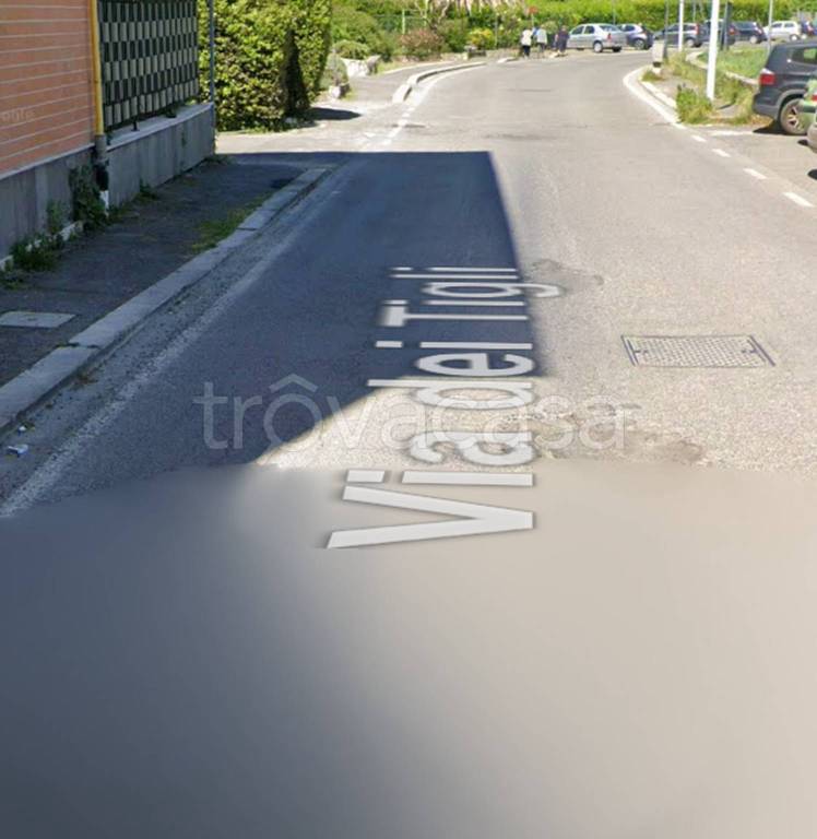 immagine annuncio 2 di 13