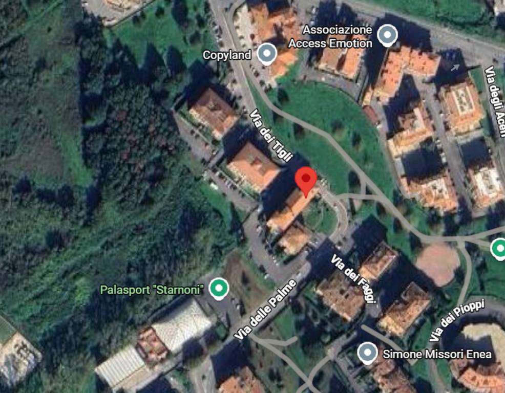 immagine annuncio 4 di 13