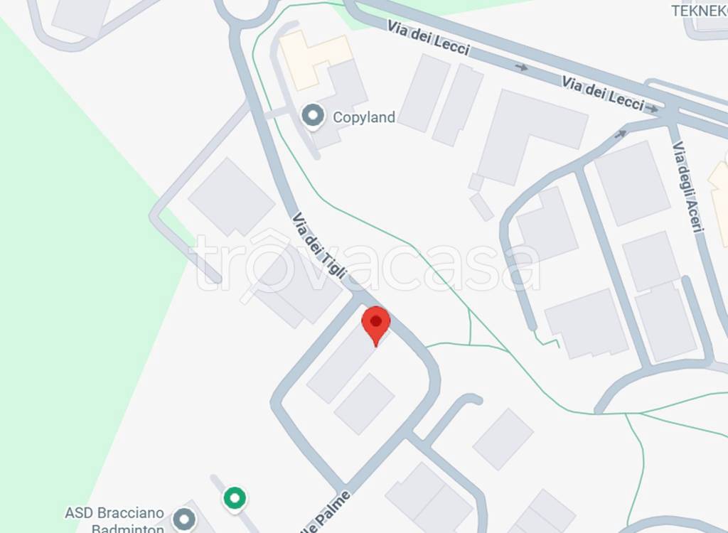 immagine annuncio 12 di 13