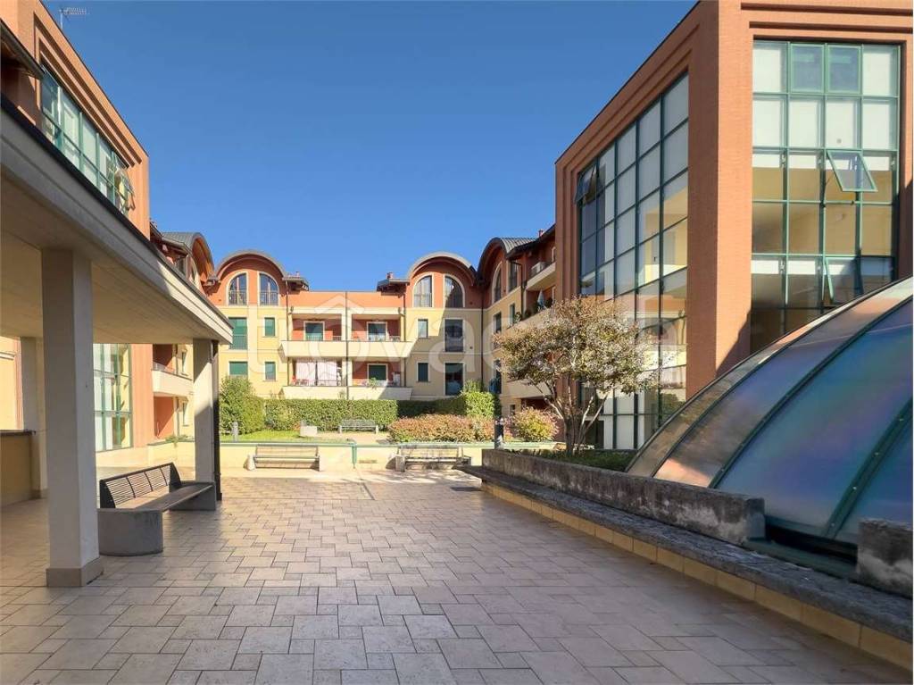 immagine annuncio 4 di 15