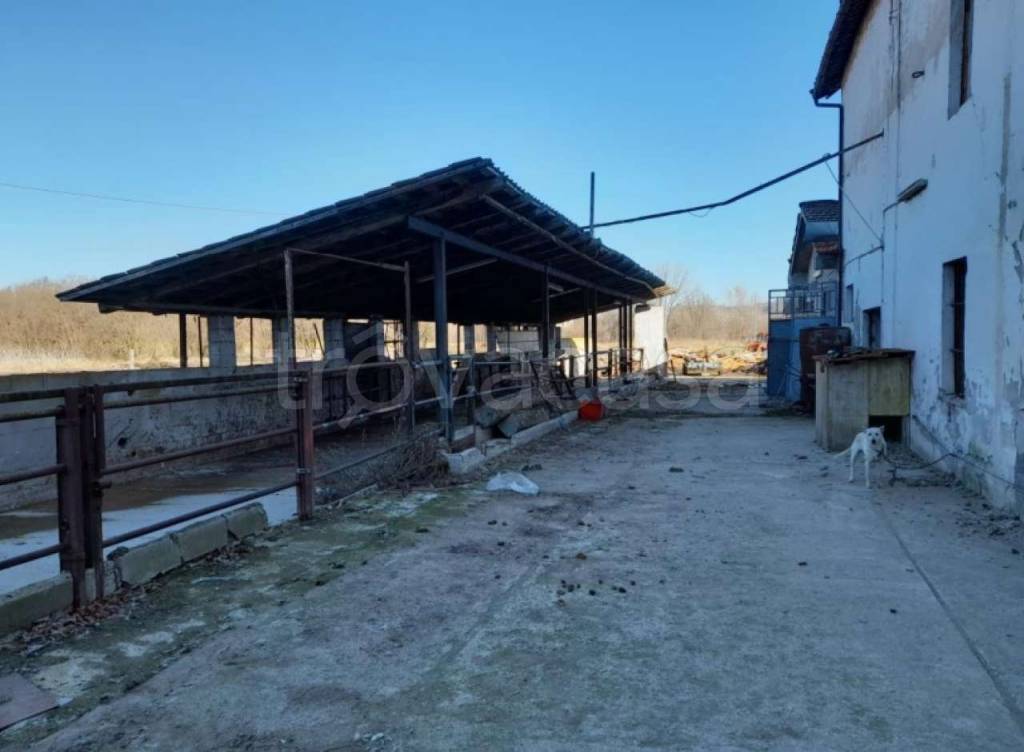 immagine annuncio 2 di 9