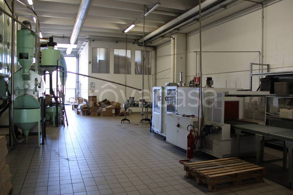 immagine annuncio 3 di 11