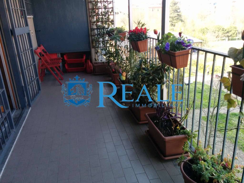 immagine annuncio 6 di 13