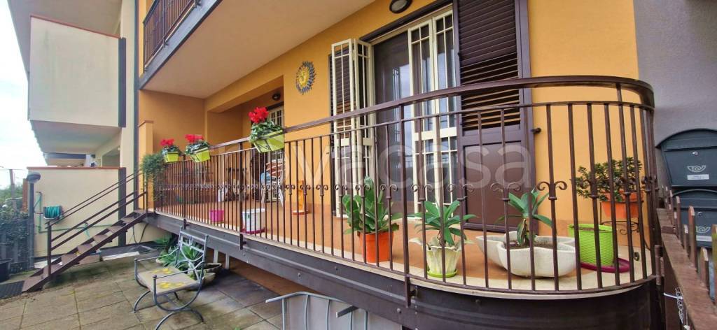 immagine annuncio 3 di 15