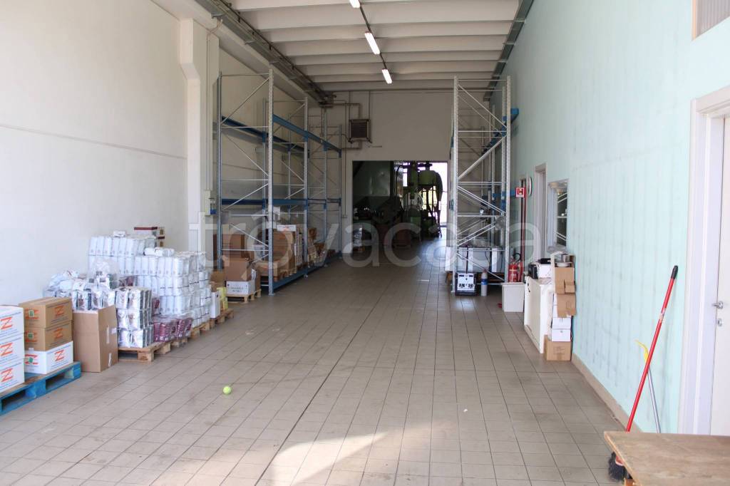 immagine annuncio 6 di 11