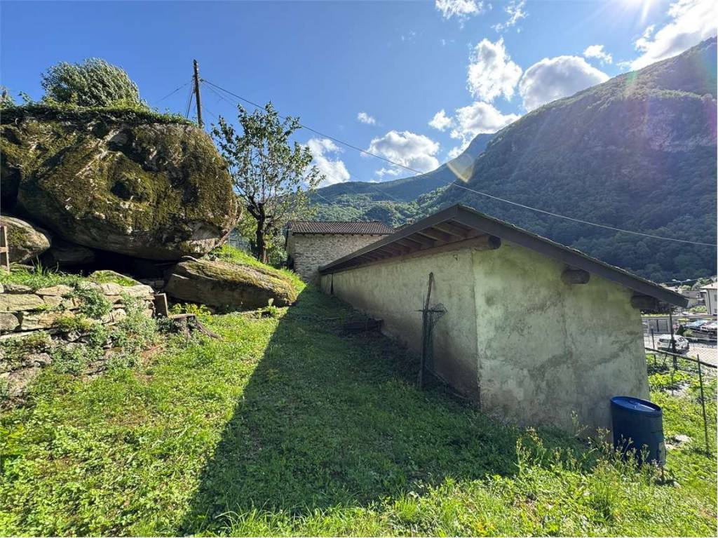 immagine annuncio 1 di 15