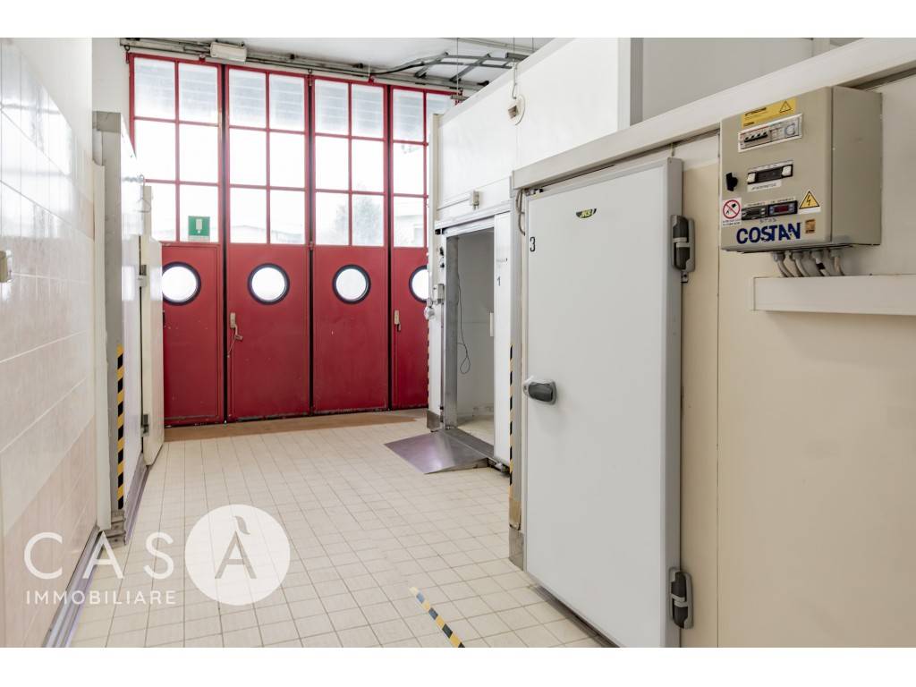 immagine annuncio 8 di 9