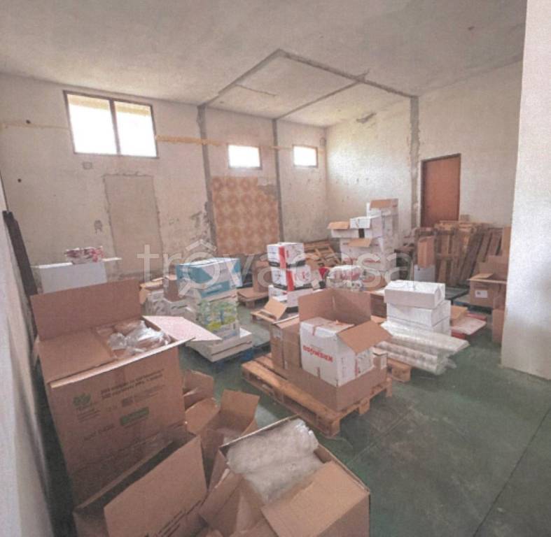 immagine annuncio 5 di 13