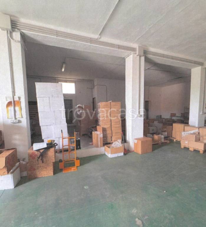 immagine annuncio 6 di 13