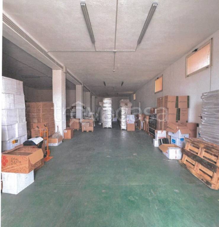 immagine annuncio 7 di 13