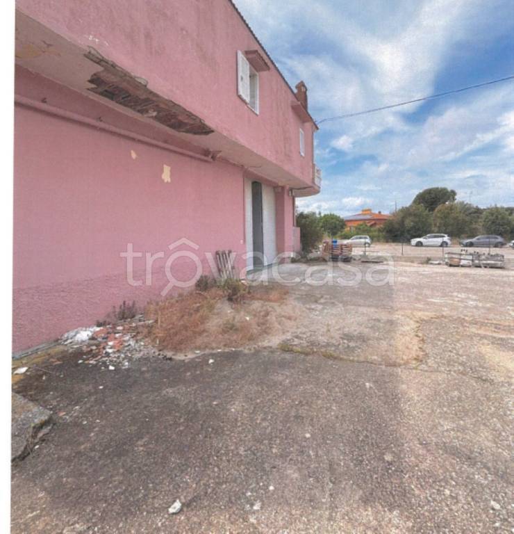 immagine annuncio 11 di 13