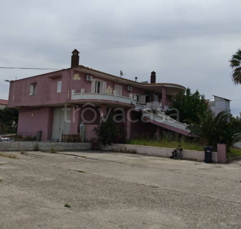 immagine annuncio 12 di 13