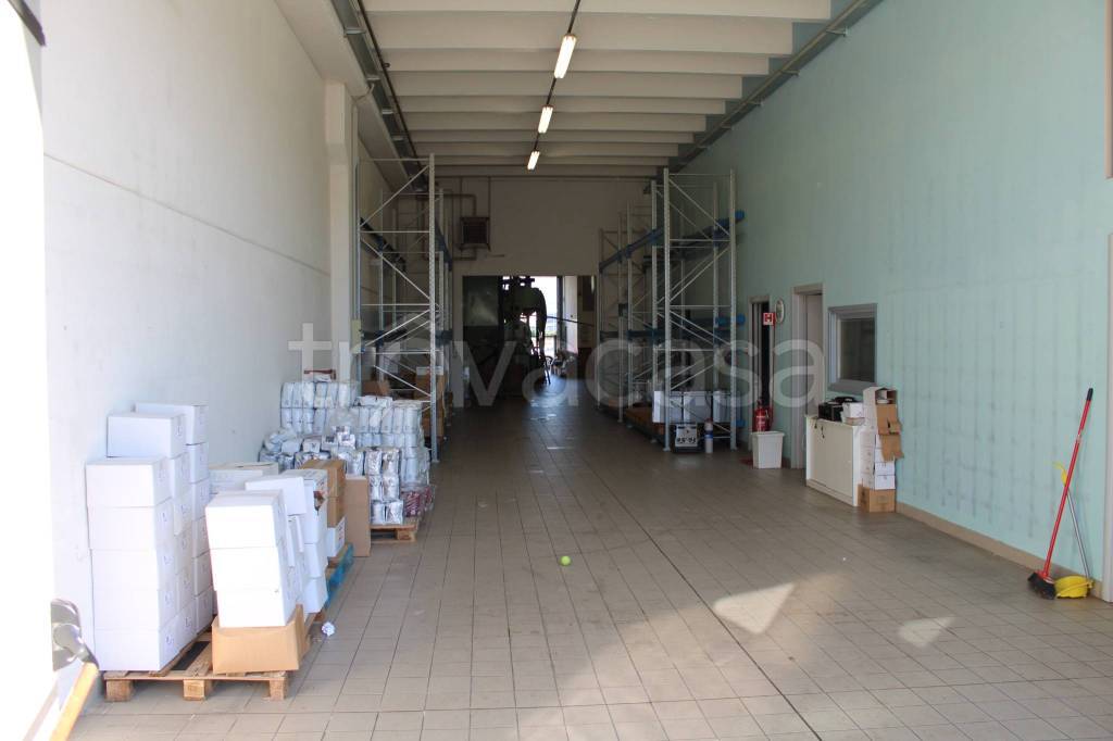 immagine annuncio 5 di 11