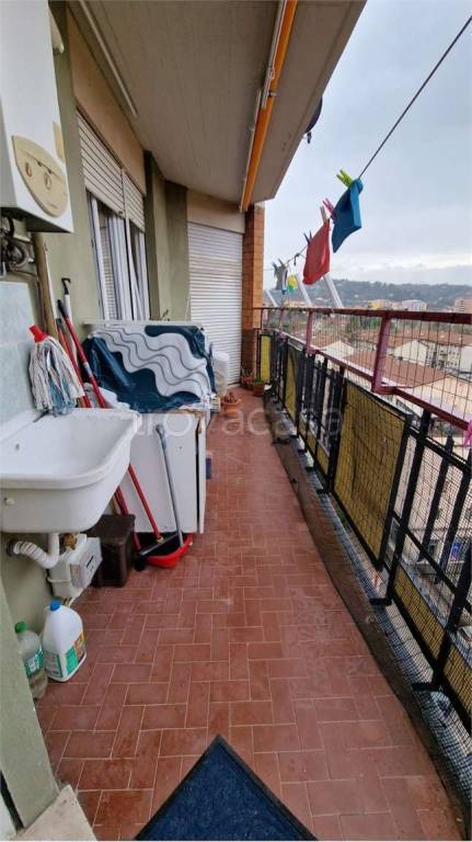 immagine annuncio 2 di 13