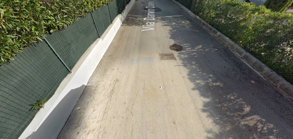 immagine annuncio 2 di 11