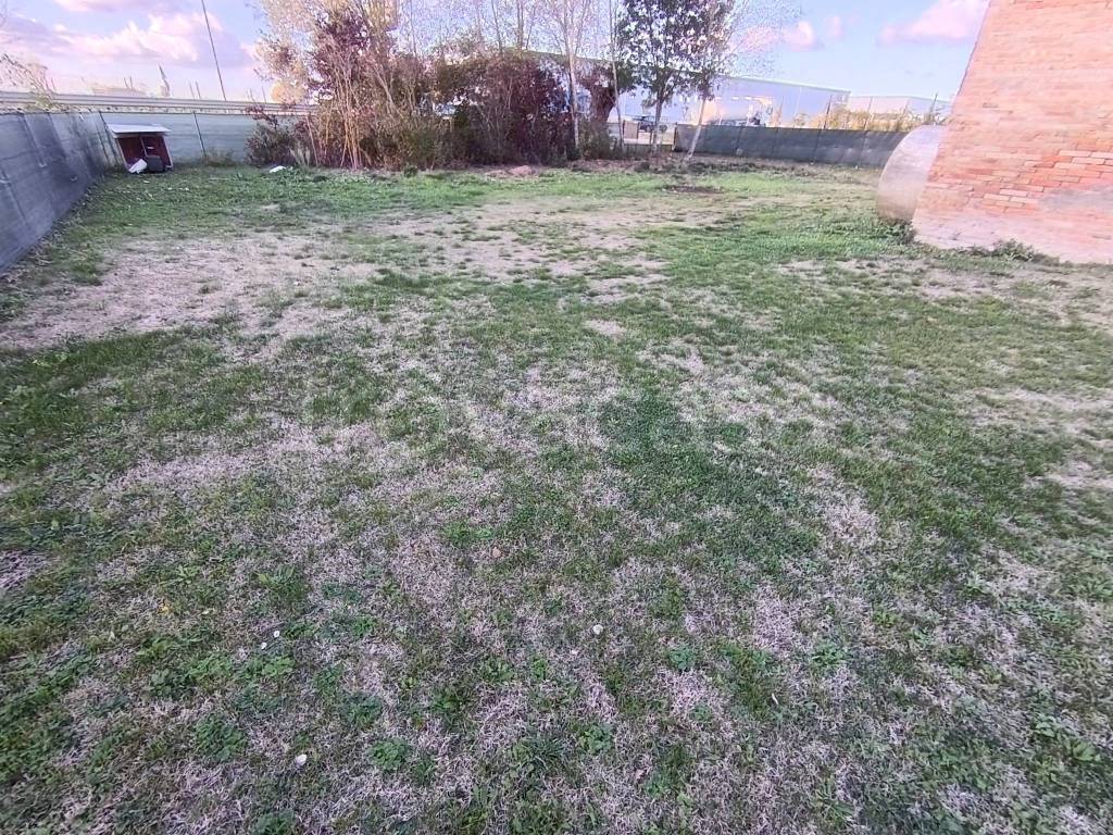 immagine annuncio 2 di 6