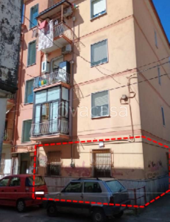 immagine annuncio 10 di 14