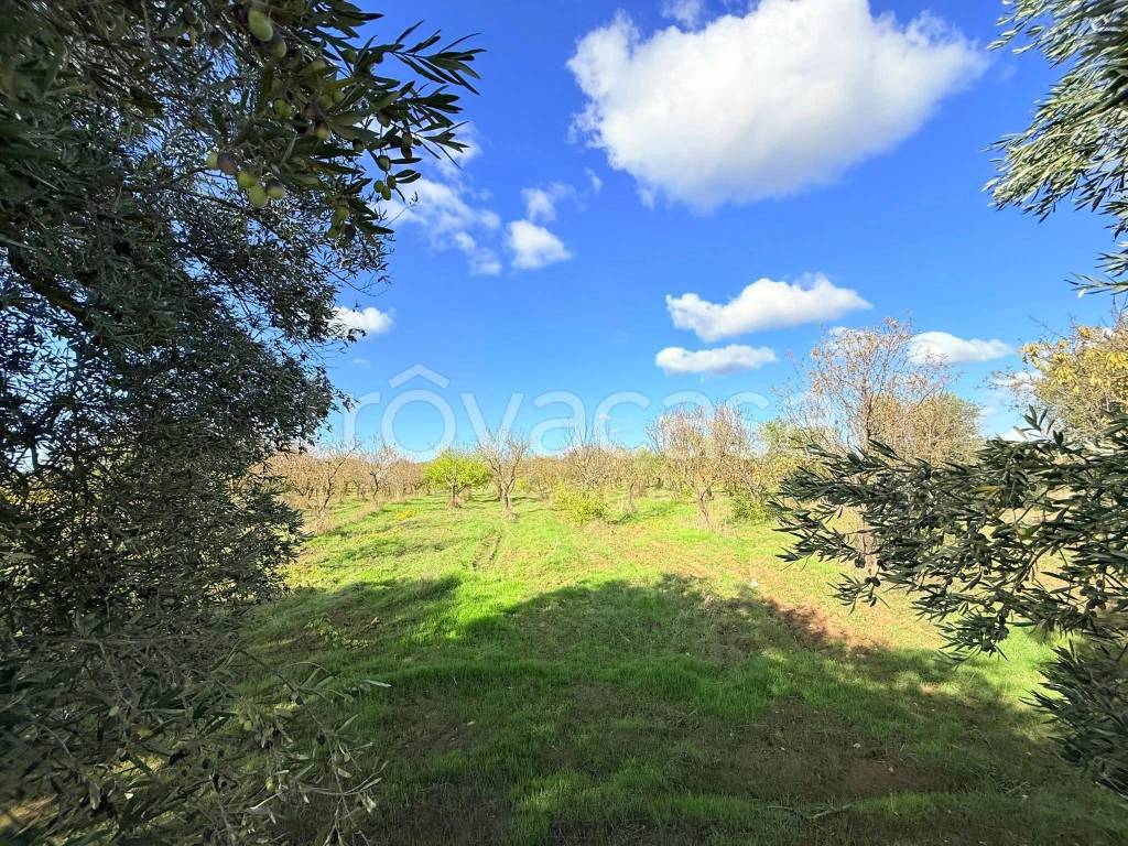 immagine annuncio 5 di 9