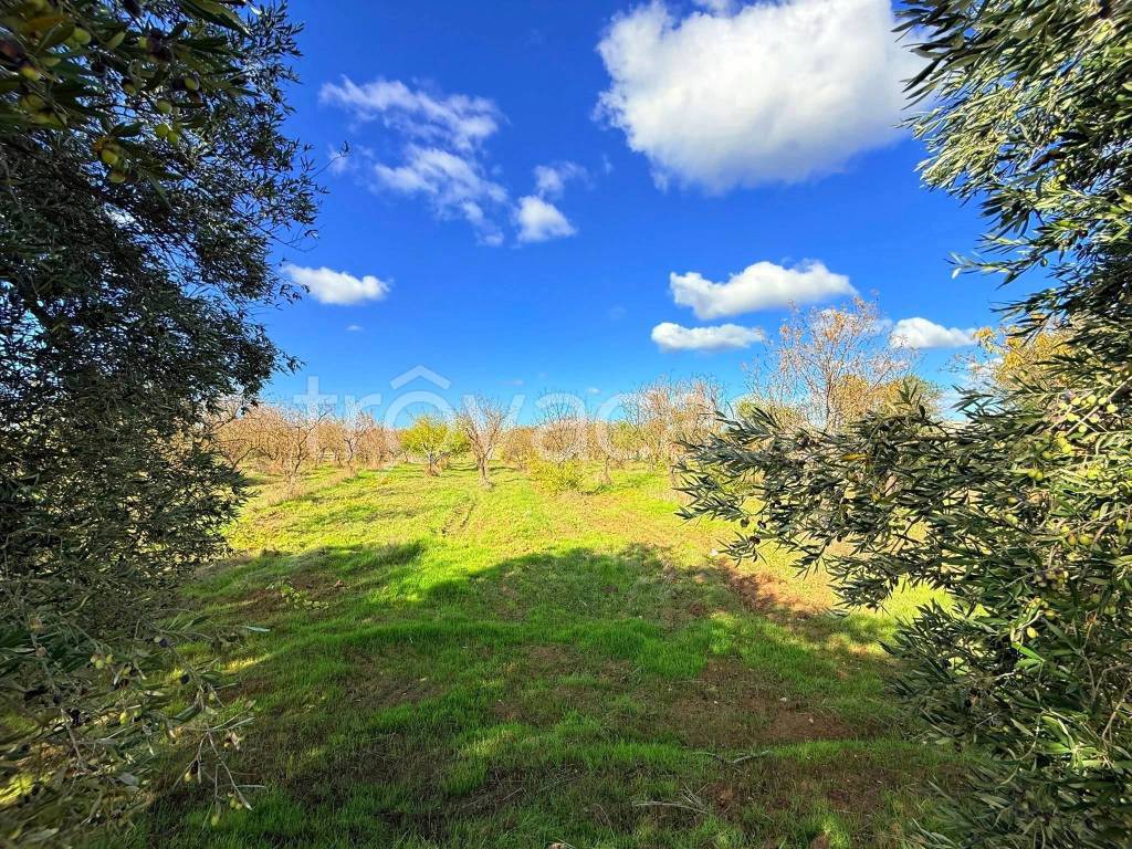 immagine annuncio 8 di 9