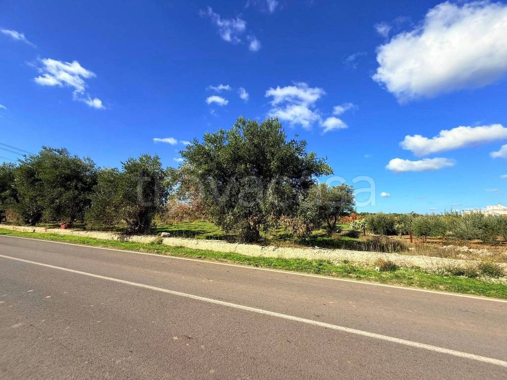 immagine annuncio 2 di 9