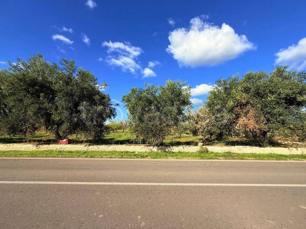 immagine annuncio 3 di 9