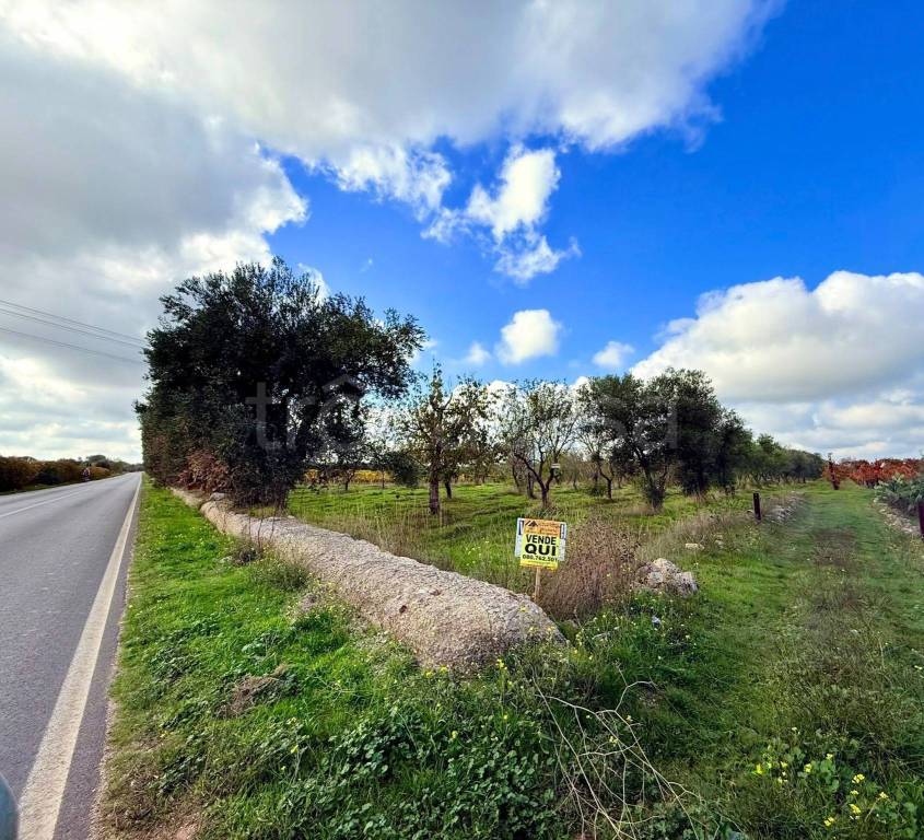 immagine annuncio 1 di 9