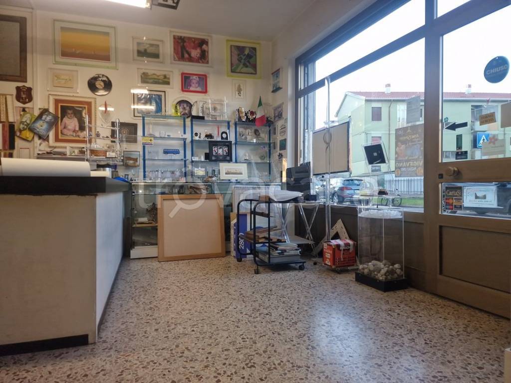 immagine annuncio 6 di 15