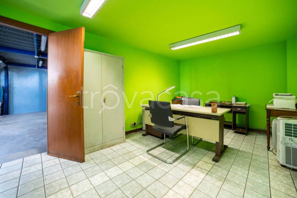 immagine annuncio 7 di 15