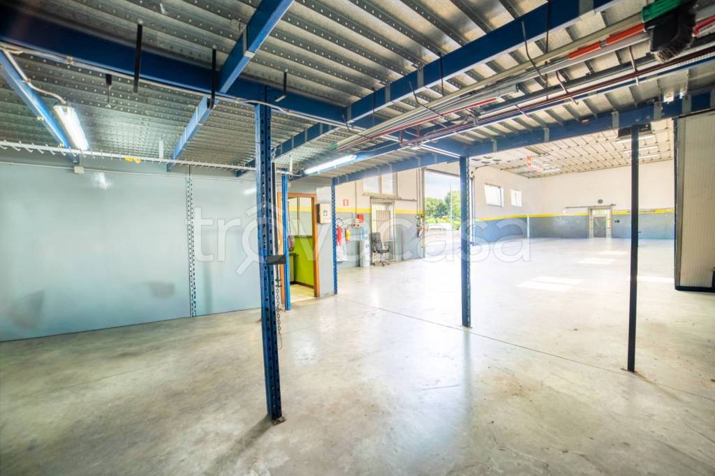 immagine annuncio 9 di 15