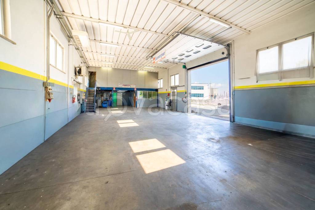 immagine annuncio 5 di 15