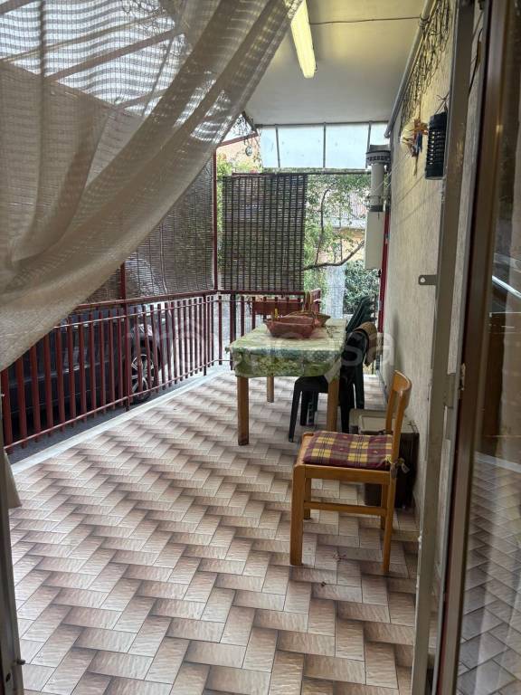 immagine annuncio 9 di 12