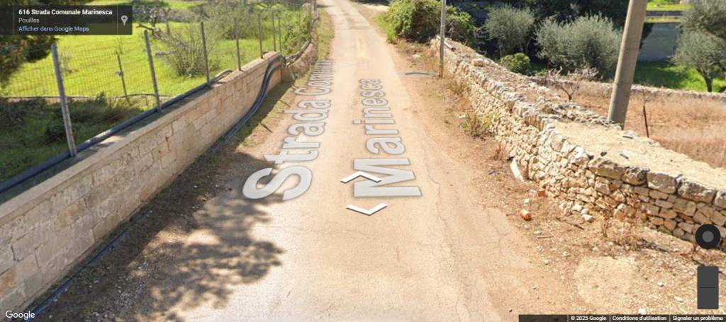 immagine annuncio 9 di 12